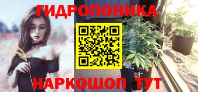 шишки Конаково