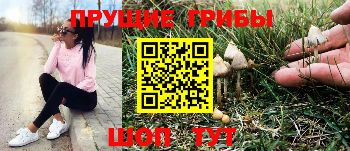 Кстово  Галлюциногенные грибы Psilocybine cubensis  Галлюциногенные грибы прущие грибы  закладки  Вход с VPN 